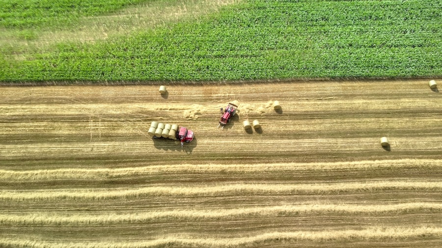 Photo AI in smart agriculture