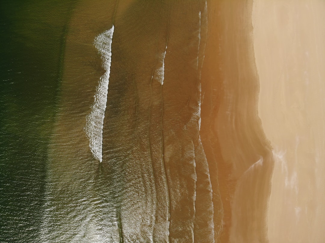 Rola Edge AI w IoT: Przyszłość połączenia danych